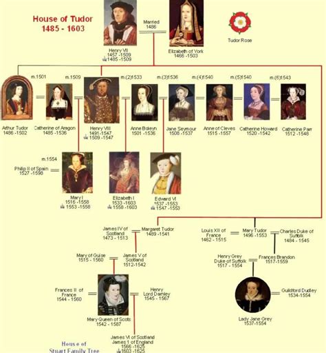 henry vii of england family tree